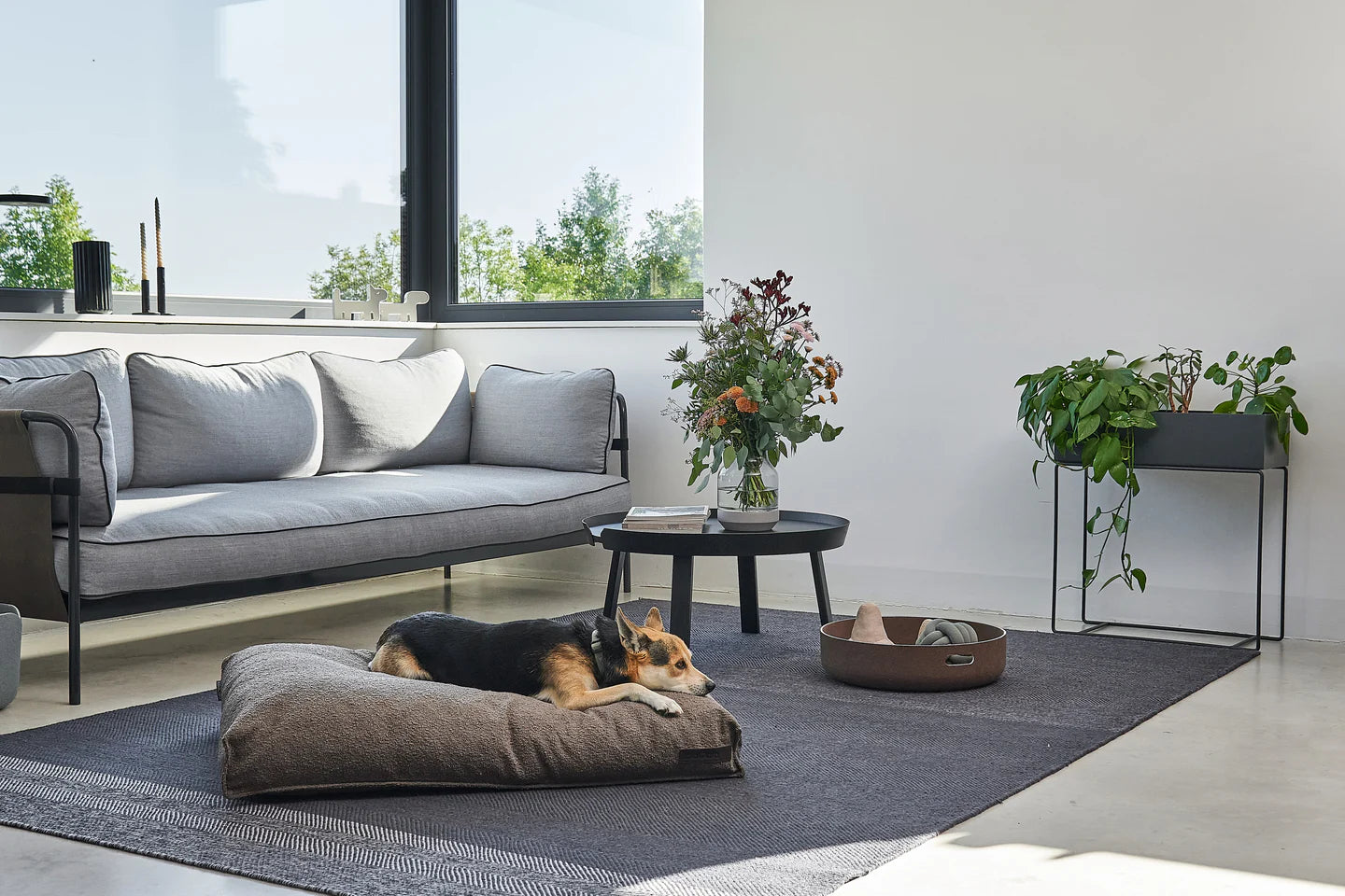 Mondo Hundekissen